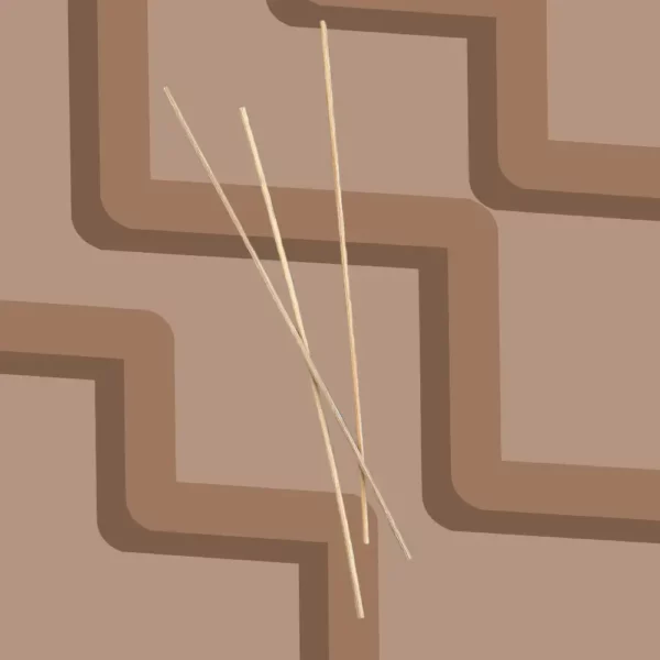 Bâtonnets pour diffuseur Magik bois