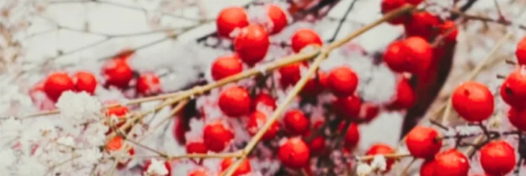 Bougies parfaites pour l’hiver : astuces et conseils