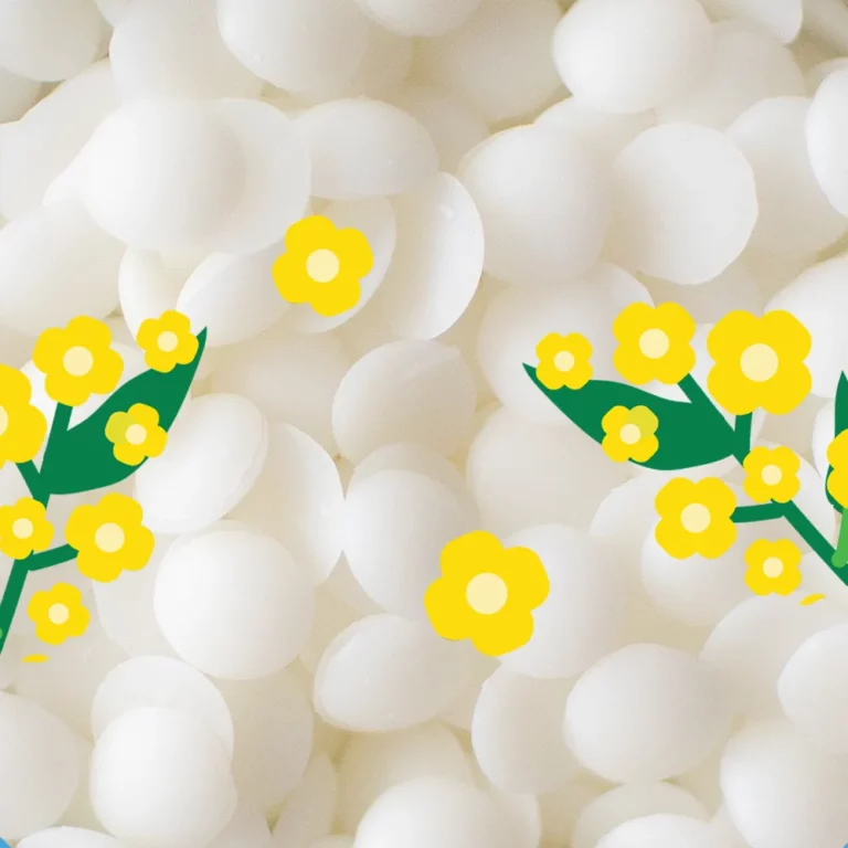 Cire de colza pour bougies moulées
