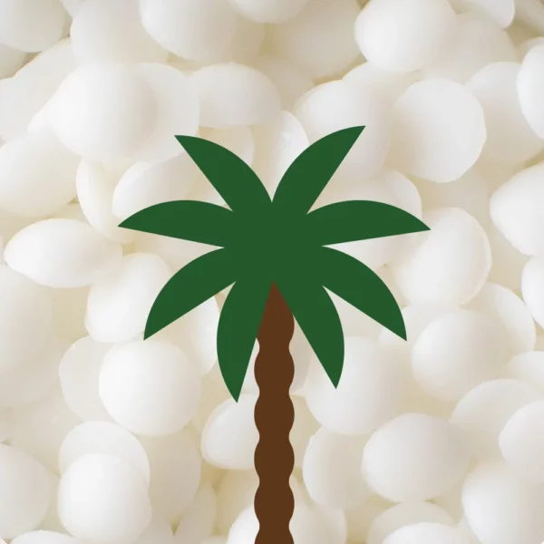 Cire de palme pour bougies