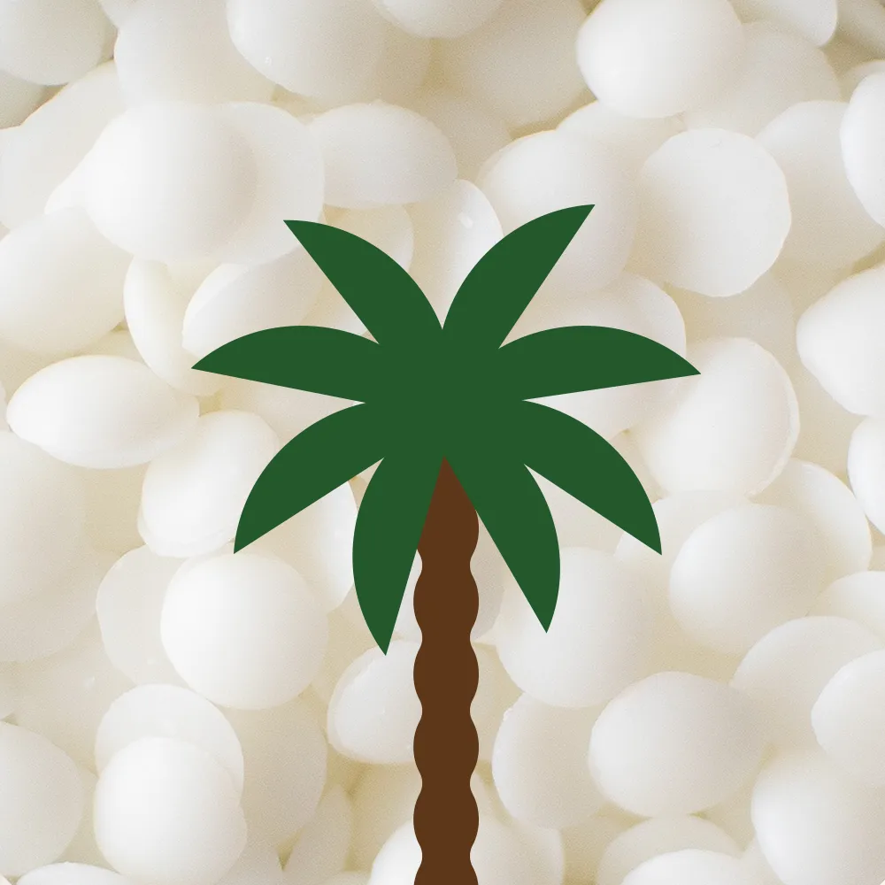 Cire de palme pour bougies