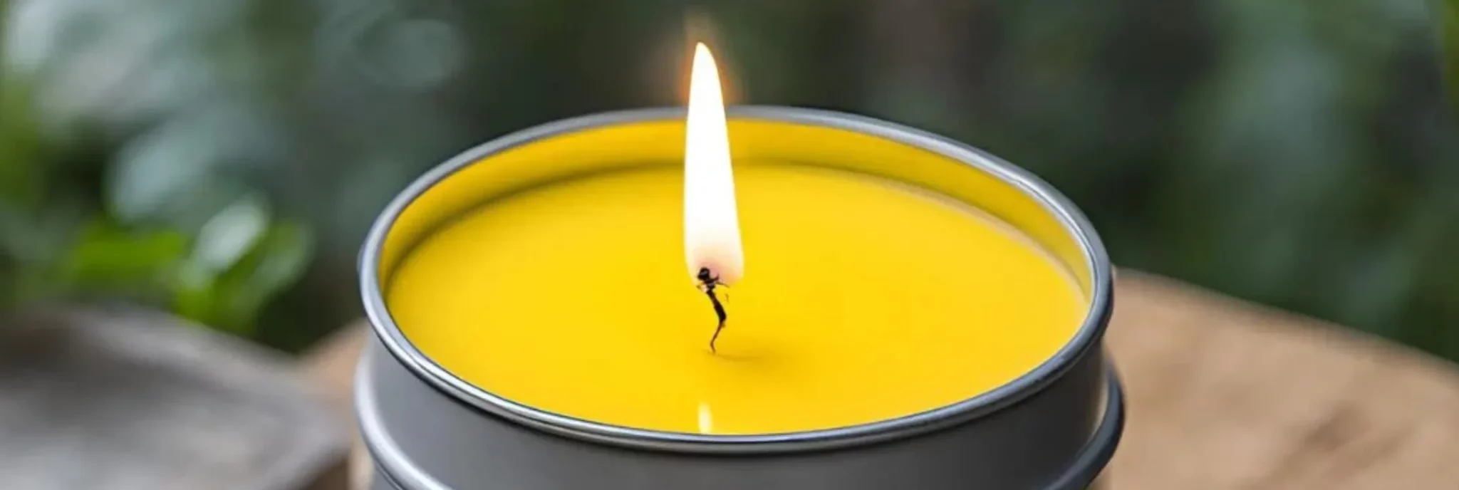 La bougie parfumée à la citronnelle