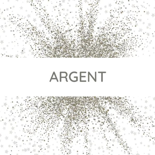 Paillettes argent - 10g