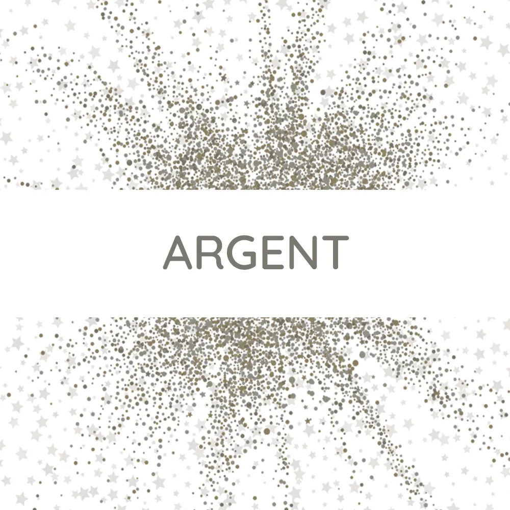 Paillettes argent - 10g