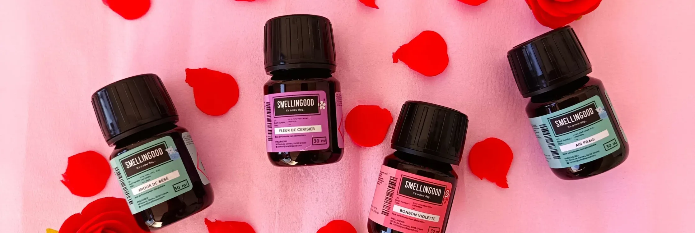 les-familles-olfactives-en-parfumerie-les-bases-pour-comprendre-ton-parfum-prefere